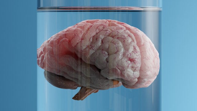 A brain in a jar