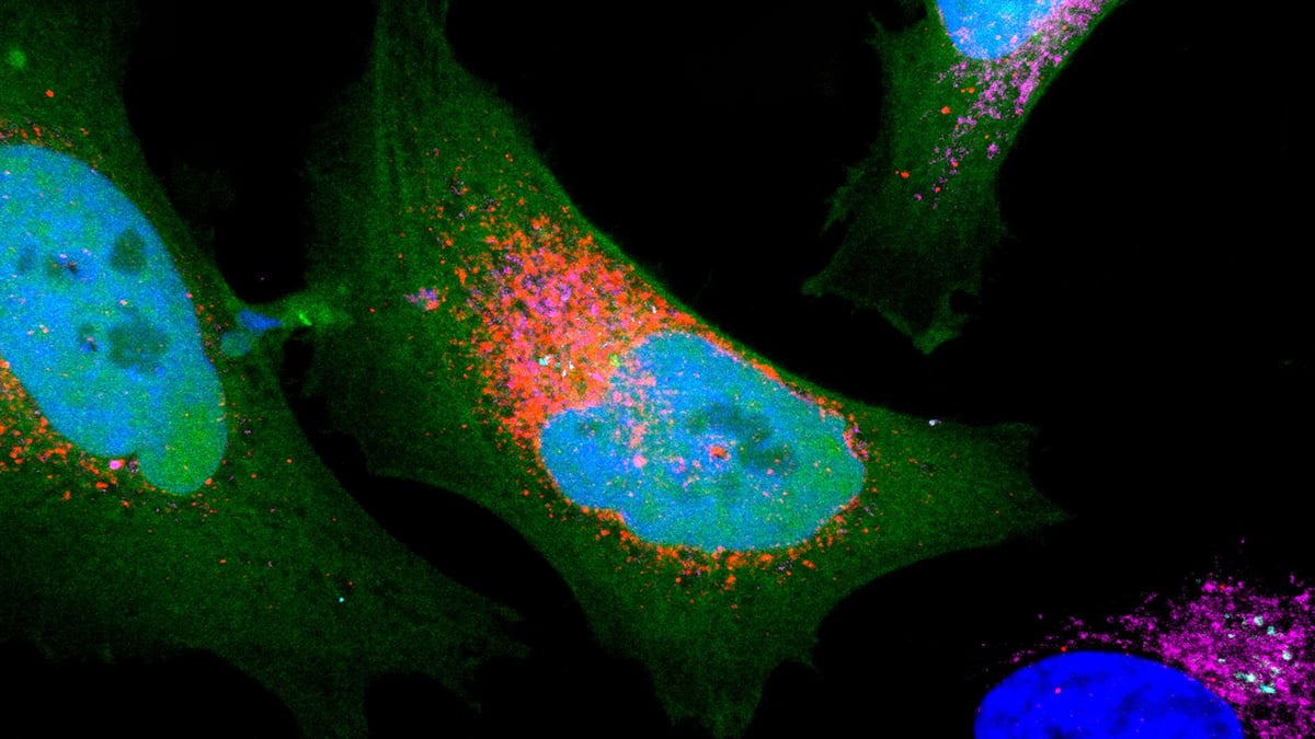 Scientists Discover Over 1,700 'Dark' Proteins Hidden in Human Cells