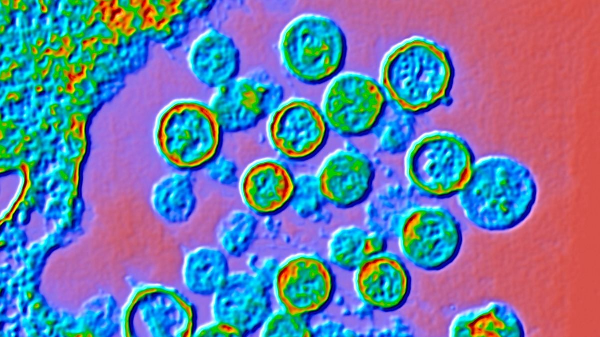 Investigations Begin After Suspected Outbreak of Rare Hantavirus Kills 3 People