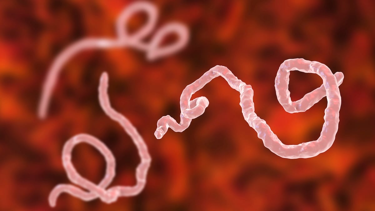Ebola v Kongu: Více než 90 mrtvých, situace je mezinárodní zdravotní krizí