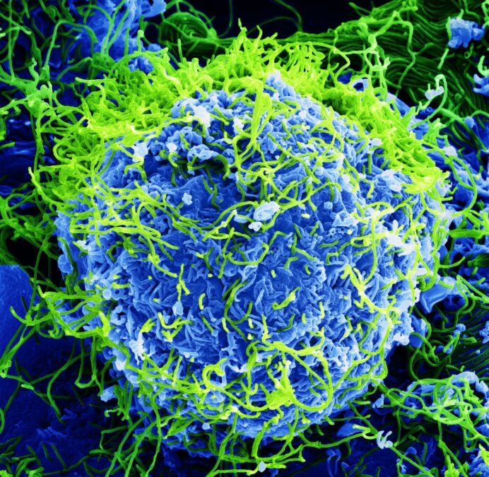 Deadly Ebola Outbreak Declared Global Emergency as Cases Spread in Africa