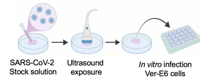 Scientists Destroy COVID And Flu Viruses in The Lab With Sound Waves