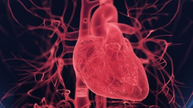 One Word Could Be Putting Women at Risk During Heart Attacks, Doctors Say