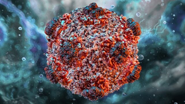 3D illustration of a hantavirus particle, shown as a round red and blue virus against a dark microscopic background