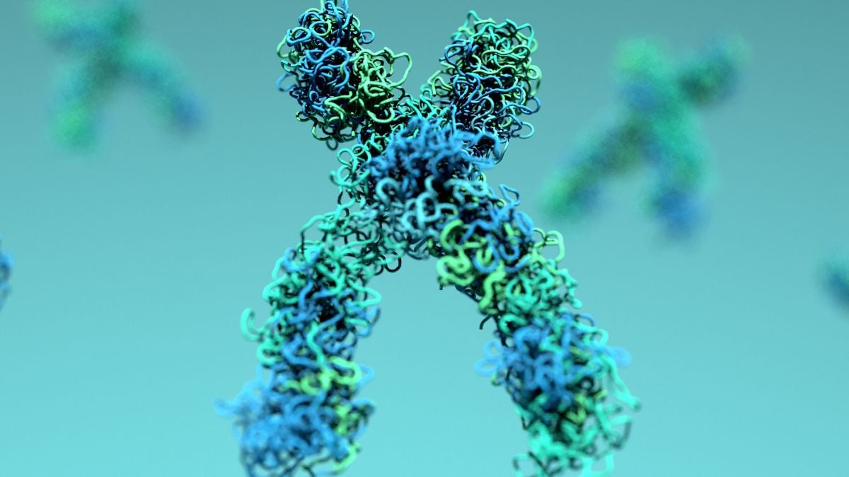 Výzkum naznačuje, že stárnutí DNA může být zvratné
