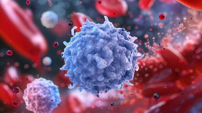 Illustration of human lymphocytes