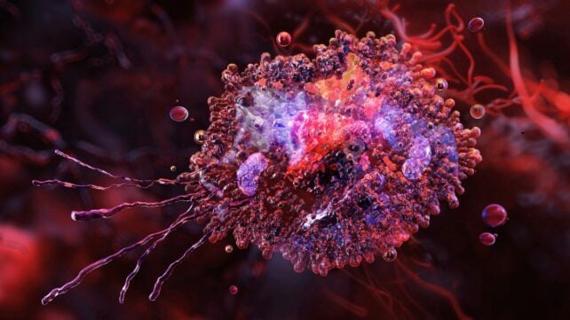 Your Blood May Contain an Evolutionary Relic Older Than Animals Themselves