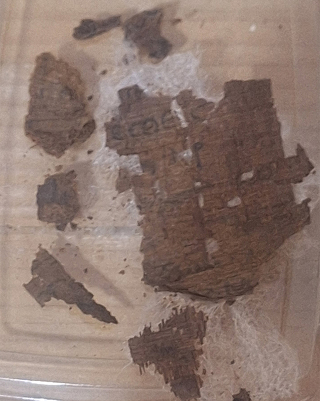 Papyrus fragments