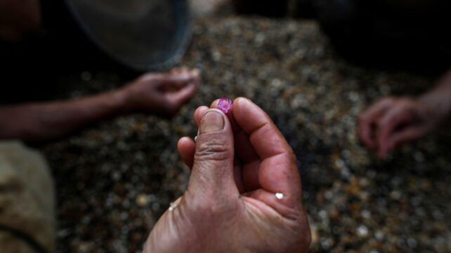 Hand holding a ruby above dirt