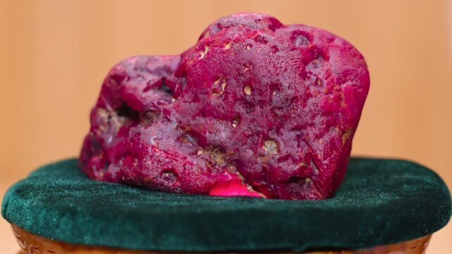 A huge rough ruby sits on a green velvet display stand after being discovered in Myanmar.