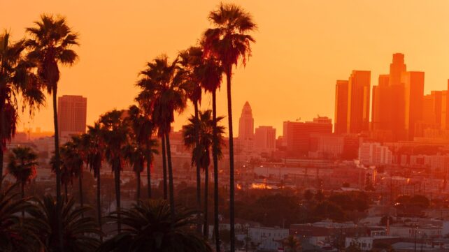 Palm trees in front of a city skyline
