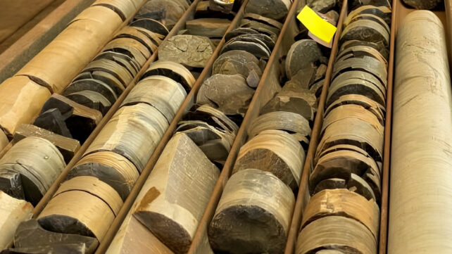 Trays of cylindrical rock cores stored in a warehouse, including mudstone samples that contained ancient microfossils.