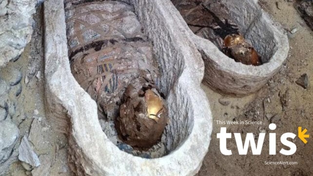 This Week in Science: A Milestone Birthday, a Literary Mummy, And Much More!