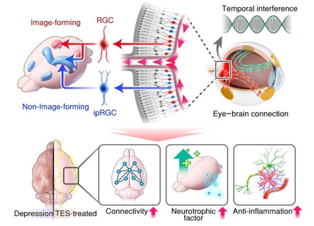 Scientists Fitted Mice With Contact Lenses to Ease Their Depression – And It Worked