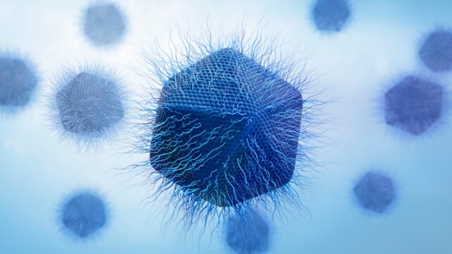 Giant virus structure