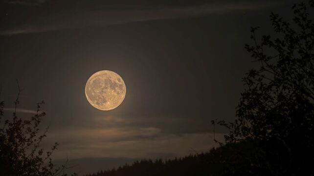 Rare Blue Micromoon Won't Return Until 2053 &ndash; Don't Miss It This Week!