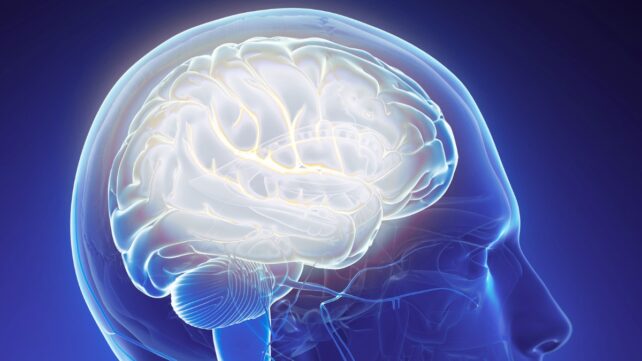 Medical illustration showing a glowing human brain inside a translucent blue head, viewed from the side