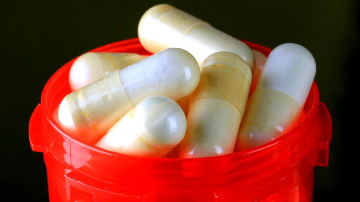 What Are You Actually Swallowing When You Take Probiotics?