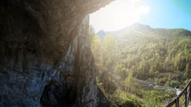 400,000-Year-Old Proteins Reveal a Surprise Twist in The Human Family Tree