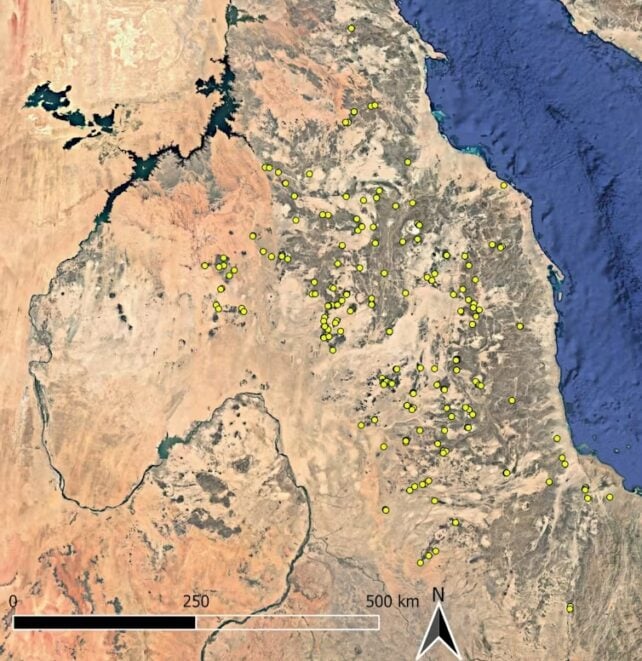 Archaeologists Discover Hundreds of Strange, Ancient Mass Graves in The Desert