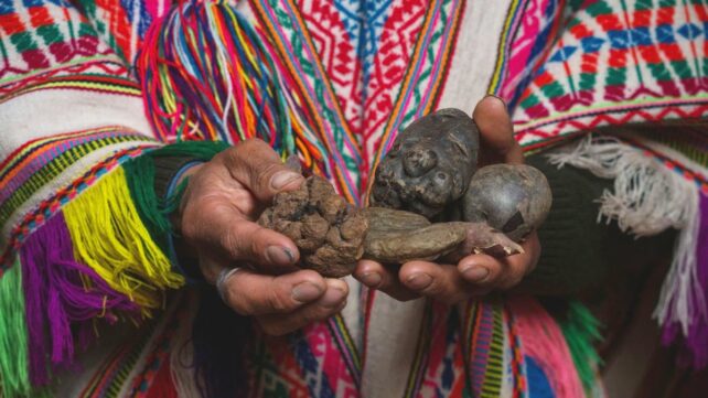 potatoes in hands