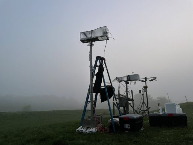 Scientists Discover Life Lurking And Growing in The Fog
