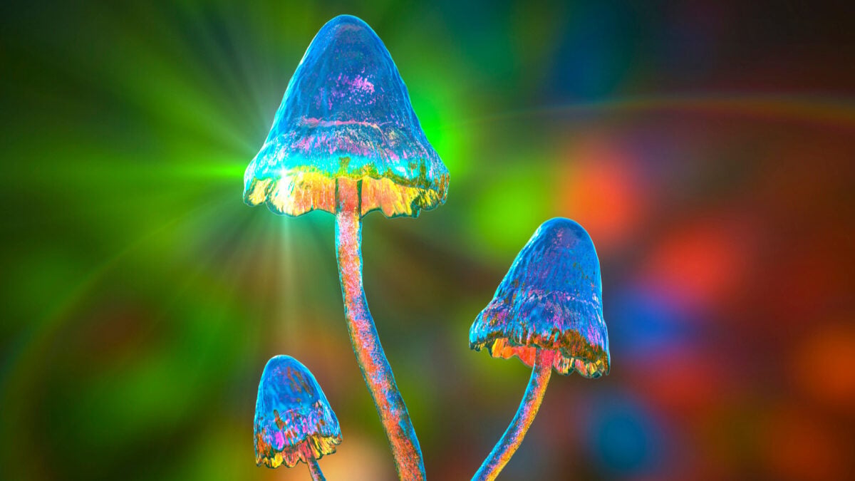 PSILOCYBIN COMPOUND SHOWS PROMISE AGAINST CHRONIC TINNITUS