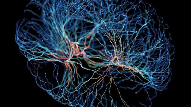 Scientists Find Hidden 'Focus Switch' in The Brain &ndash; And It May Hold Clues to ADHD