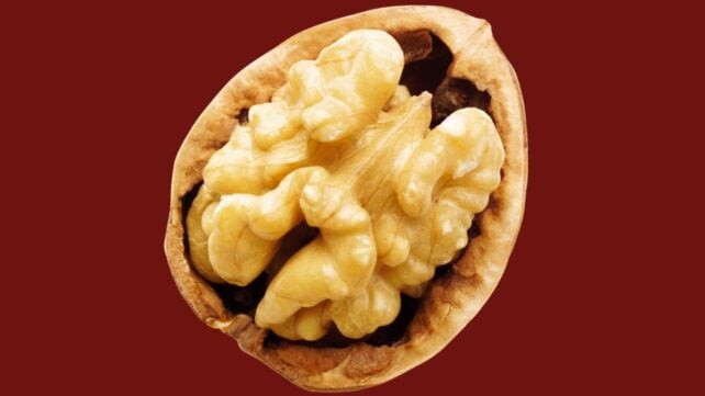 The Best Diet For Brain Health Is Probably Not What You Think