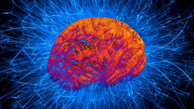 Conceptual illustration of the active brain
