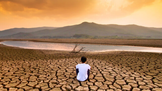 A person sitting on dry ground facing away