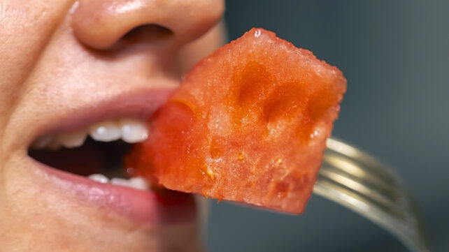 Close-up of a person about to eat a piece of watermelon from a fork, illustrating healthy eating and food habits.