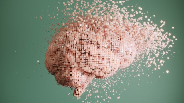 Brain dissolving