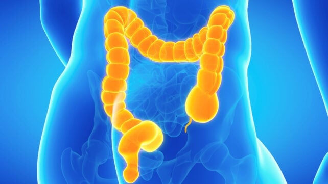A scientific illustration of a glowing orange colon inside a transparent blue human body