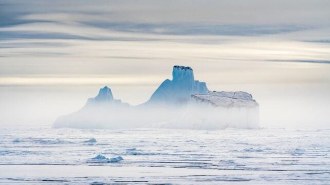 Icebergs Are Transforming Deep-Sea Ecosystems, Scientists Discover