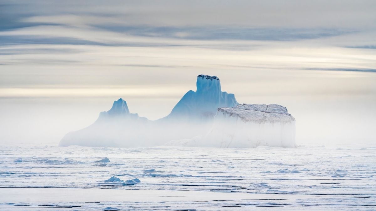 Icebergs Are Transforming Deep-Sea Ecosystems, Scientists Discover