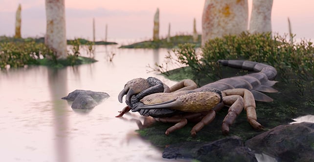Praearcturus gigas