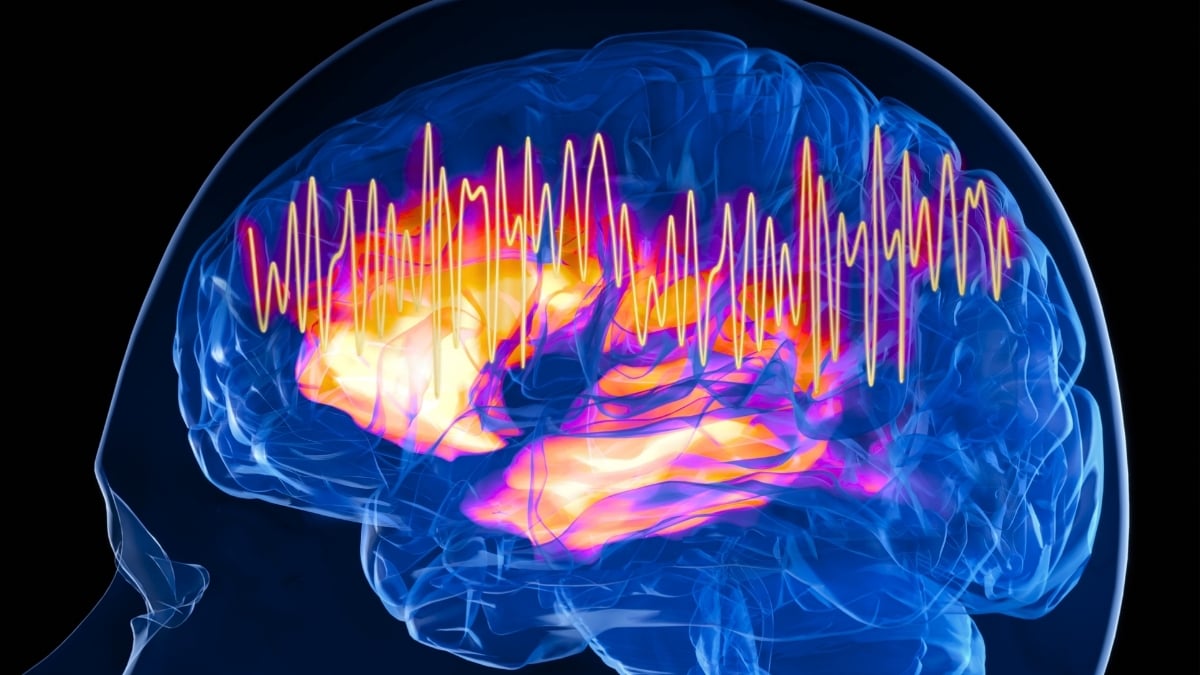 SCIENTISTS FIND BRAIN'S ANCIENT 'FOCUS SWITCH' IN MICE