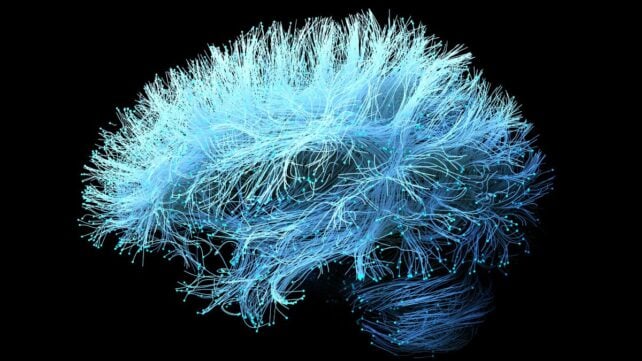 A Supplement For Joint Pain Could Accelerate Alzheimer's Memory Loss