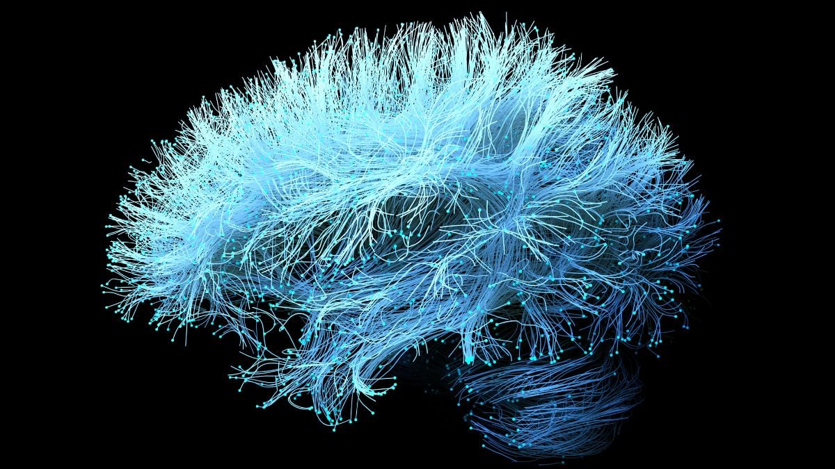 People with Alzheimer's disease who took the common supplement glucosamine were 25% more likely to die within five years than those who didn't.