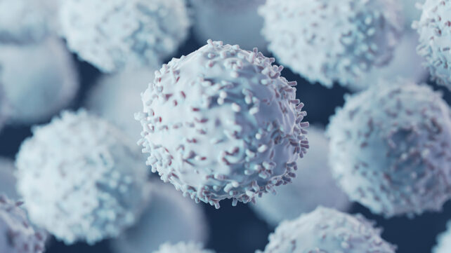 Immune cells