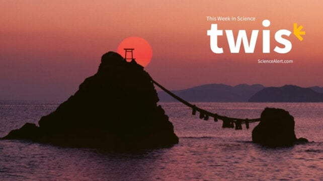 This Week in Science: An Earthquake Shift, a Black Hole First, And More!