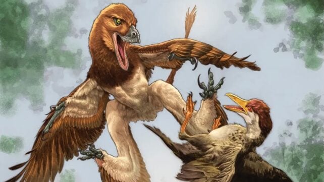 Mysterious Predator That Butchered Ancient Birds Is Finally Unmasked