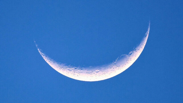 Watch The Moon Cover Venus in a Rare Daytime Sky Event This Week