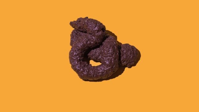 There Is a Universal Law in The Shape of All Poop, Physicists Reveal