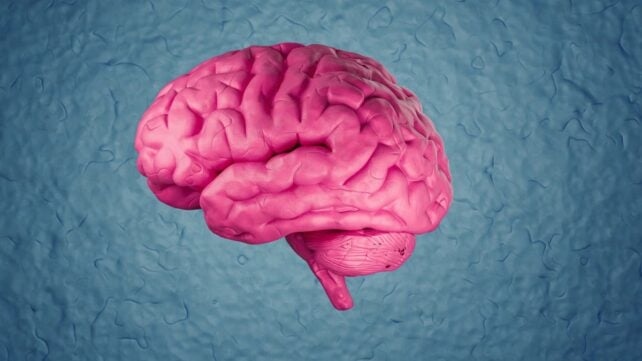 A Single Lifestyle Change Could Lower Your Risk of Dementia by 16%