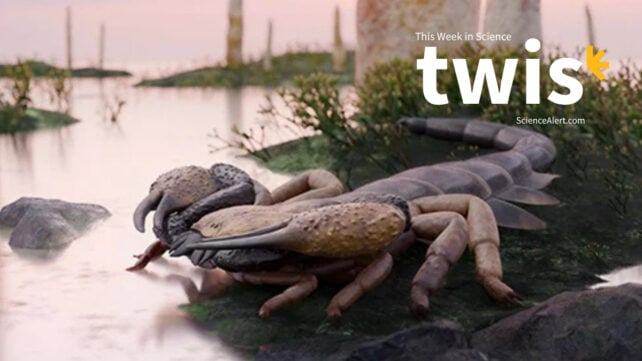 This Week in Science: World's Biggest Scorpion, a Whale Graveyard, And More!
