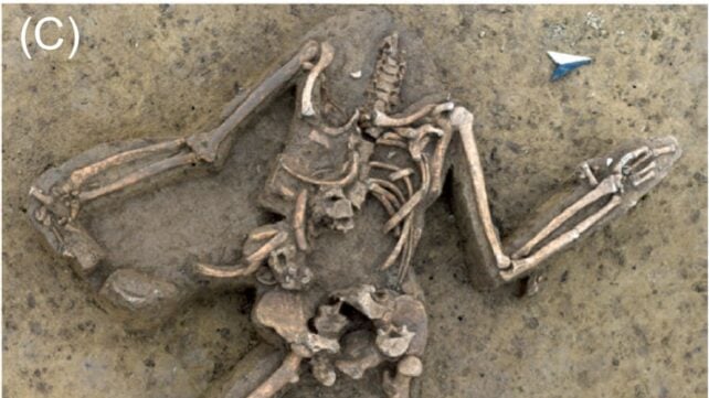Nearly 80 Headless Human Skeletons Discovered At A Spooky Stone Age Site