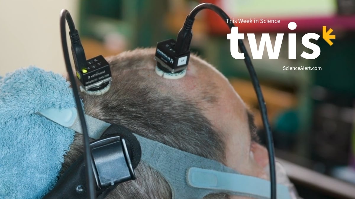 This Week in Science: A Voice-Restoring Brain Implant, Nuclear Clocks, And More!