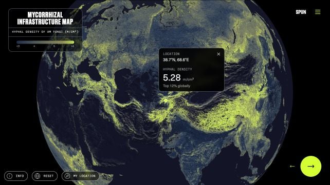 Earth's Hidden Fungal Web Is a Billion Times Longer Than The Earth-Sun Distance
